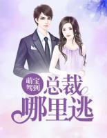 萌寶駕到：總裁哪里逃