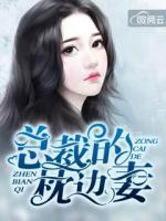 總裁的枕邊妻