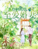 豪門總裁的至愛婚妻