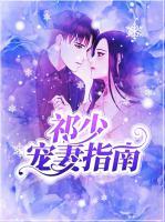 祁少寵妻指南