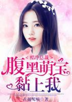 酷冷總裁，腹黑萌寶黏上我