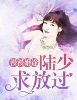 漫漫婚途：陸少，求放過
