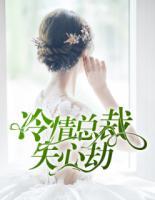 冷情總裁失心劫