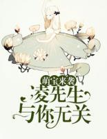 萌寶來襲：凌先生，與你無關(guān)