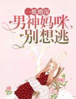 一紙婚深：男神媽咪別想逃