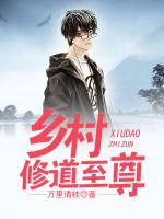 鄉(xiāng)村修道至尊