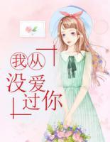 我從沒(méi)愛(ài)過(guò)你