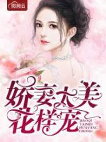 嬌妻太美花樣寵