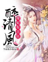 醉清風(fēng)：傻妃有點(diǎn)狂