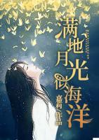 滿地月光似海洋