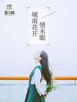 城南花開情未眠