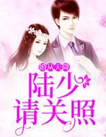 婚從天降：陸少請(qǐng)關(guān)照