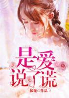 是愛說了謊
