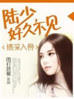 情深入骨：陸少，好久不見