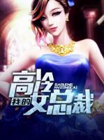 我的高冷女總裁