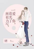 愛(ài)你，花光了所有力氣