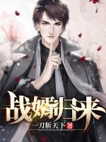 戰(zhàn)婿歸來