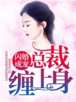 閃婚成寵，總裁纏上身
