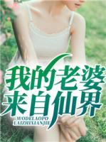 我的老婆來自仙界