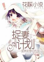 捉妻A計劃