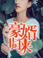 豪婿歸來