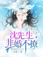 沈先生，非婚不撩