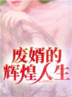 廢婿的輝煌人生