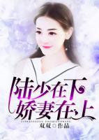 陸少在下嬌妻在上