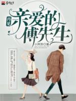 再見，親愛的傅先生