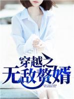 穿越之無敵贅婿