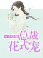 入骨暖婚：總裁花式寵