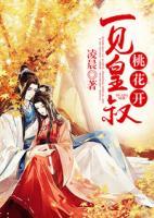 一見皇叔桃花開