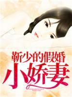 靳少的假婚小嬌妻