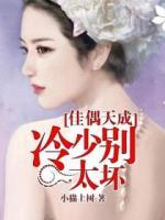 佳偶天成：冷少別太壞