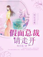 雙寶尋爹：假面總裁請走開