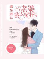 高冷慕總：老婆，我太冤枉