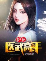 護(hù)花醫(yī)武高手
