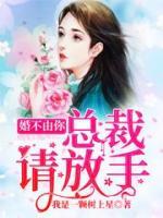 婚不由你：總裁請放手