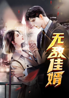 無(wú)敵佳婿