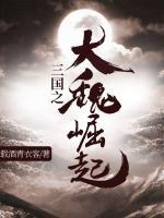 三國(guó)之大魏崛起