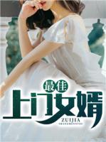 最佳上門女婿