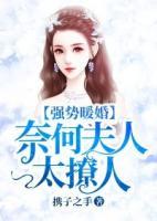 強(qiáng)勢(shì)暖婚：奈何夫人太撩人