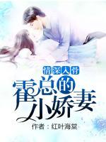 情深入骨：霍總的小嬌妻
