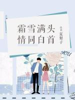霜雪滿(mǎn)頭，情同白首