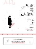從此，再無人像你