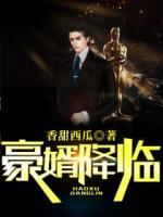 豪婿降臨