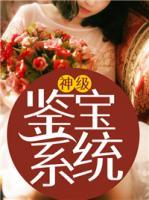 神級鑒寶系統(tǒng)