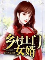 鄉(xiāng)村上門女婿