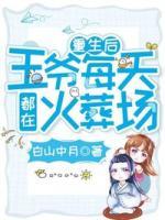 重生后王爺每天都在火葬場