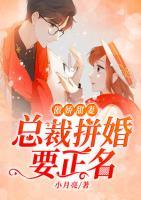 傲嬌甜妻：總裁拼婚要正名